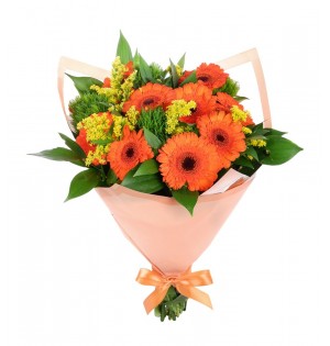 Gerbera mix